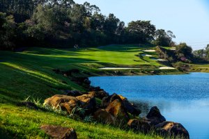 风神 Guangzhou Fosion Golf Club Dye Course