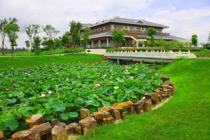 盐城射阳岛3 Yancheng Yueda Sheyang Island Golf Club