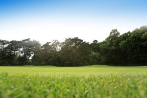 盛京1 Shengyang Shengjin Golf Club