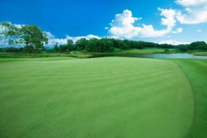 橡树林 Hainan Kangle Spa Golf Club - Oak Grove